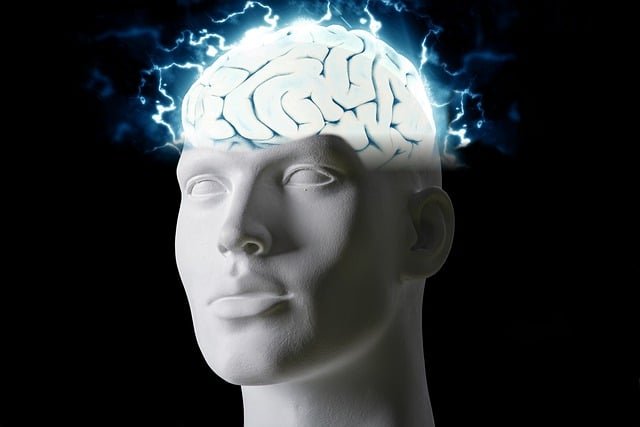 Les maladies neurodégénératives sont nombreuses et fréquentes. Elles résultent toujours d'une protéine anormale dans le cerveau et/ou la molle épinière. Focus sur les 5 démences principales.