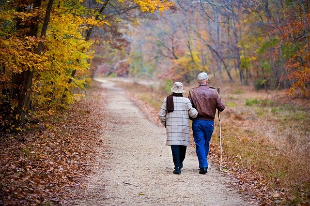 Se promener régulièrement permet de maintenir la mobilité, de préserver la coordination et de prévenir les maladies cardiovasculaires, retardant ainsi la perte d'autonomie. 